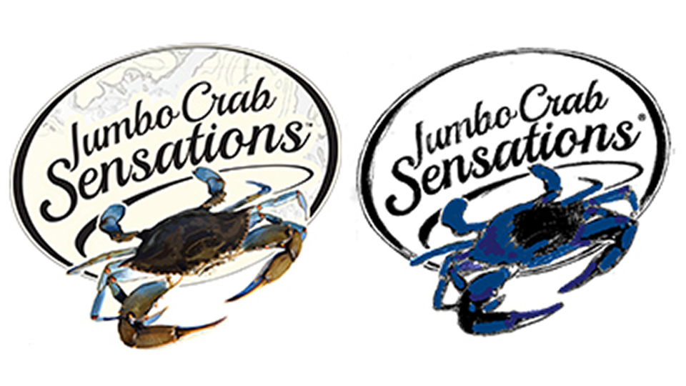 Jumbo Crab Sketch